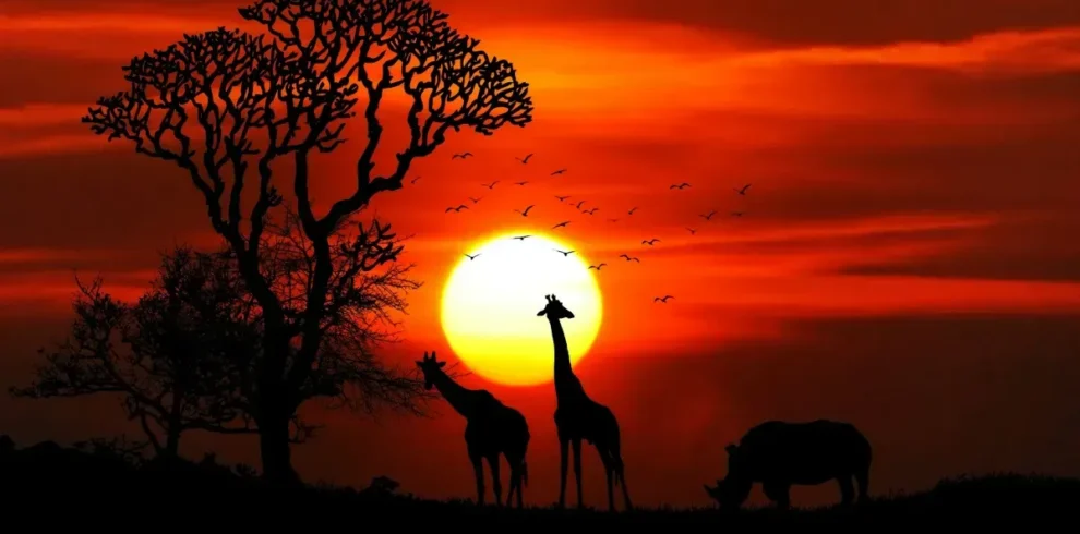 africa-main